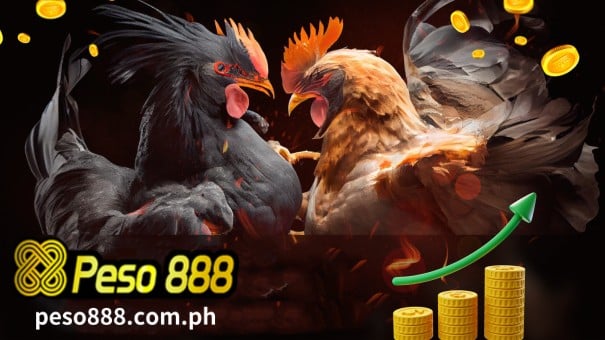 Sa Peso888 online cockfight betting, ang terminong "Betting Market" ay tumutukoy sa mga uri ng taya na maaari mong ilagay sa mga sabong.