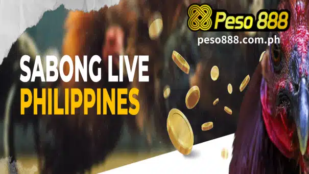 Learn how to play Sabong live effortlessly using GCash on our user-friendly website.